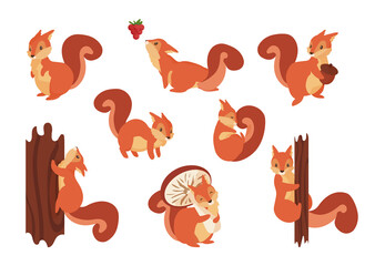 Cartoon squirrel. Cute wild animal with acorn. Playful fluffy creature holding mushroom and climbing on tree trunk. Vector orange forest rodents set with furry tail jumping on branches © SpicyTruffel