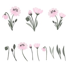 Naklejka premium Set of floral branch, soft pink flower, green leaves. soft pink simple bouquet