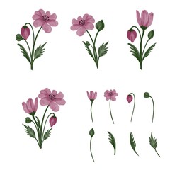 Set of floral branch, pink flower, green leaves. pink simple bouquet, Vector arrangements for greeting and invitation