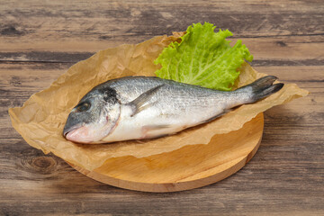 Raw Dorada fish  for cooking