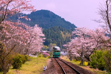 Zelfklevend Fotobehang JR久大本線北山田駅と桜 © 雄司 北山