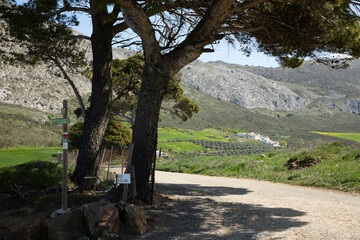 Trees by a road and some signs with mountains and some houses in the back