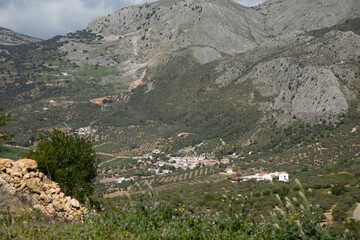 Mountains and trees in a green landscape with some clouds and blue sky