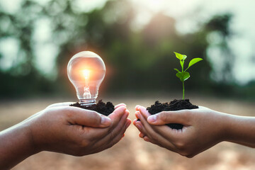 hand holding lightbulb and small tree concept saving enery