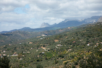 Mountains and trees in a green landscape with some clouds and blue sky