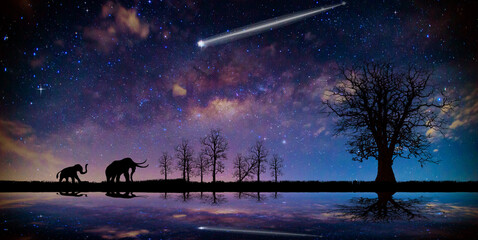 shooting star on nigth sky background.