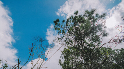 Travel on a high peak.