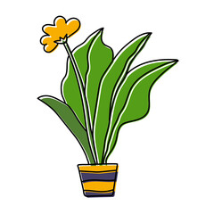 Potted flower sketch. Vector indoor plant in a pot. Doodle color illustration. Cartoon drawing