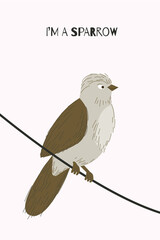 Postcard with a sparrow sitting on a wire. City bird. 