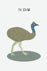 Postcard with emu. Australian ostrich.