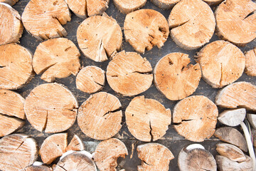 the logs are round like a wall