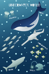 Ocean fish poster: herring, jellyfish, angler fish, sawfish, whale, monodactylus. Underwater world.