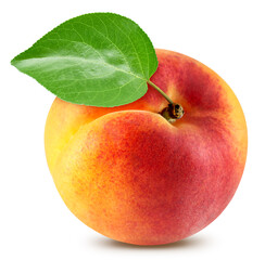 Apricot with apricot leaves isolated