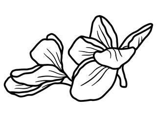 Hand drawing and sketch flower with line art illustration.