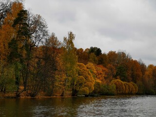 autumn in the park