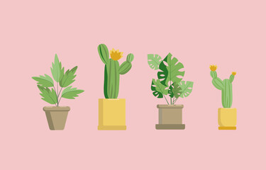 Houseplants in pots.Vector graphics with isolated background.