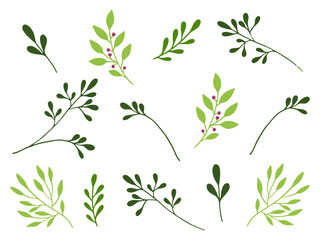 Hand drawn watercolor illustration. Botanical clipart with branches and leaves. Greenery. Floral Design elements. Perfect for wedding invitations, cards, prints, posters, packing.