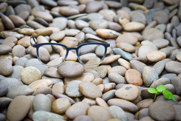 Fototapeta na wymiar Clear eyeglasses, Glasses transparent dark blue frame Vintage style on pebbles with small plant