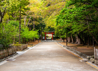 鶴岡八幡宮の流鏑馬馬場から見た鳥居(鎌倉市雪ノ下)