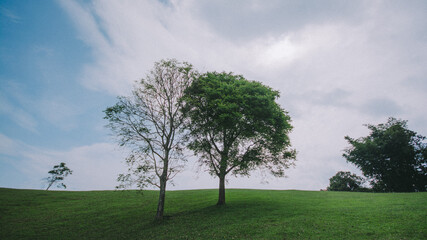 Travel on a high peak.