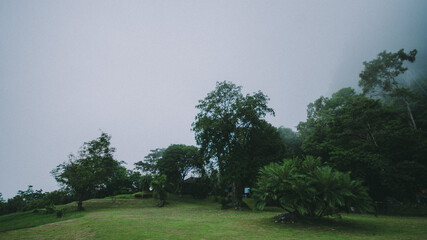 Travel on a high peak.