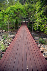 Wooden suspension bridge across the creek an overgrown tree in a park in Thailand.