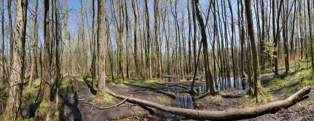 Am Tonwerkweiher in Kolbermoor