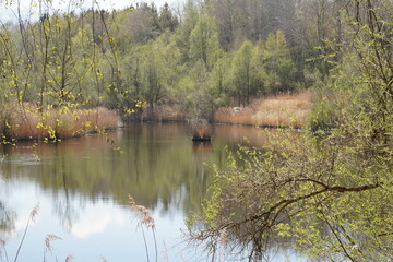 Am Tonwerkweiher in Kolbermoor