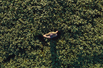 Aerial view of soybean farmer standing in the field