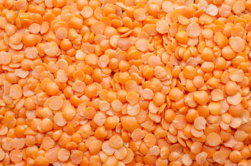 Dry organic lentil seeds background, for clean food ingredient or agricultural product concept