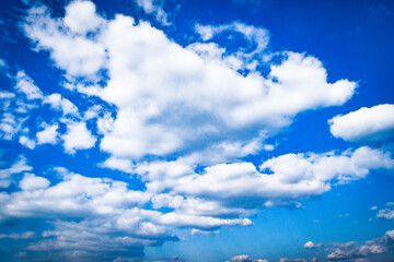 淡路島、あわじ花さじきの風景
