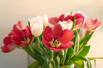 Naklejka premium wiosenne tulipany w wazonie