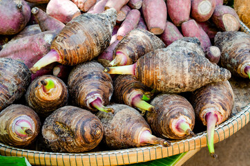 Fresh taro plant in wooden basket after harvested and cleaning, ready for cooking or selling