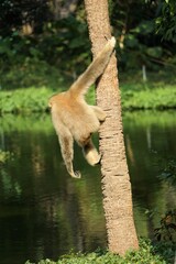 Obraz premium Keeping an watch