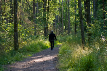 Sylwetka człowiek spacerujący po leśnych drogach - obrazy, fototapety, plakaty