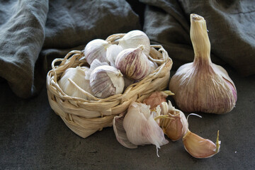 Still life with garlic. Small round garlic in a basket, garlic bulbs and gloves on gray textured background. 