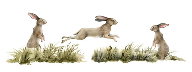 Rabbit animal natural set. Watercolor illustration. Cute bunny jump and stand in the grass on white background. Rabbits in the meadow. Fluffy bunny side view. Natural hand drawn element set