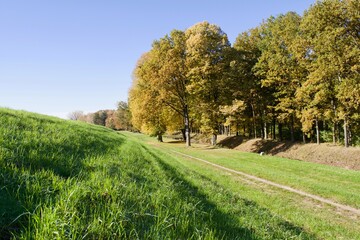 Path between a hill with green grass and a tree line in autumn at Lake Turawa in Poland on a sunny day with blue sky and no clouds