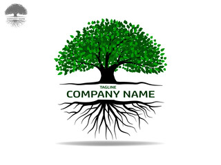 Obraz premium set of trees