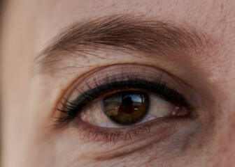 close photo of one beautiful brown eye