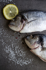 Sea bream dorado fish with lemon and salt on gray textured background with copy space. Uncooked fish top view photo. Balanced diet concept. 