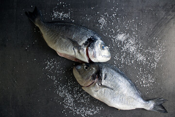 Uncooked sea bream fish on gray textured background. Fresh eating concept. Raw dorado fish top view photo. 