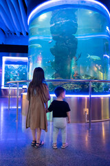 girl and boy observing fish at the aquarium
