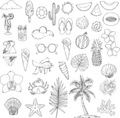 Big summer set with fruits, drinks, pool floats, seashells, palm leaves. Isolated objects on white background. Hand drawn vector illustration.  Concept for kids print. 