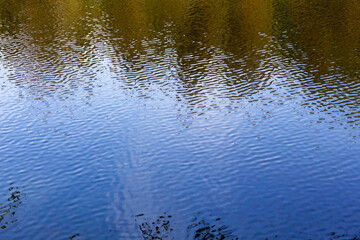 Small ripples on the surface of the lake. Branches of trees are reflected in the water
