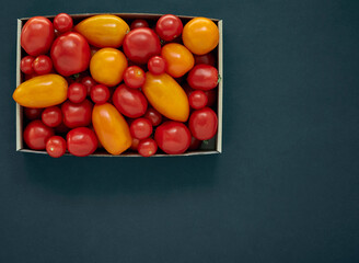 Red and yellow tomatoes in a cardboard box on a dark background with copy space