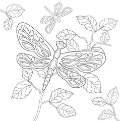 Hand drawn big and little dragonflies with simple patterns, branch with leaves. Insects.  Summer illustration on a white isolated background. For coloring book.