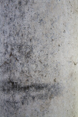 Background: Concrete wall in close up	