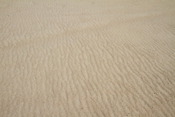 Fototapeta na wymiar Dunes created on river bank. Sand texture. 