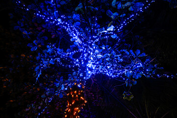 Glowing blue lanterns hang on trees in nature